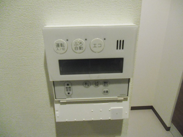 Other. Bathroom features