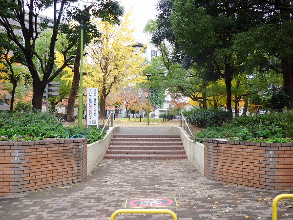 park. 300m to medium Oe park (park)