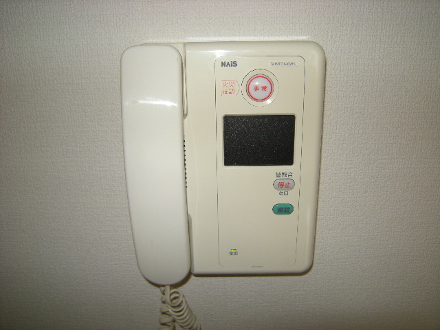 Security. Intercom with TV monitor