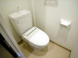 Toilet. Toilet