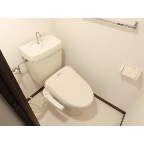 Toilet. Warm water washing toilet seat