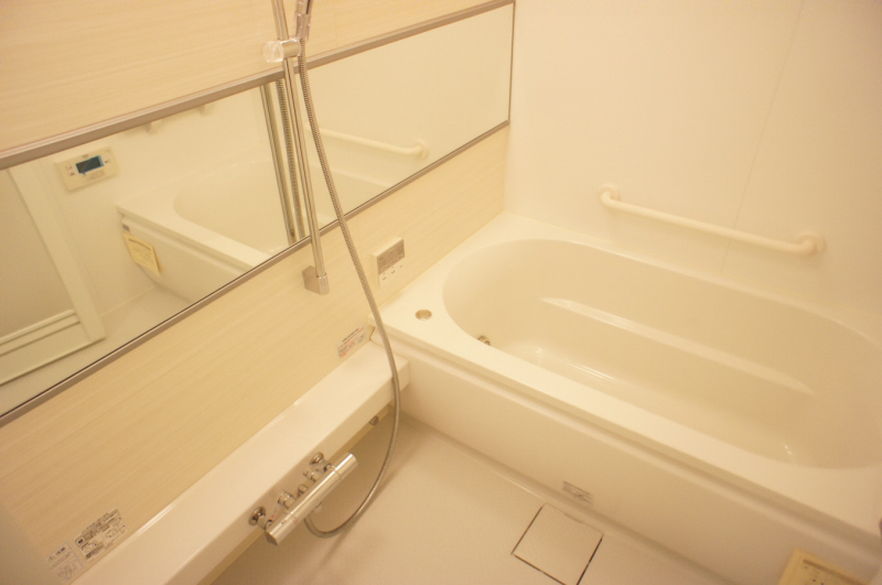 Bath. Bathroom