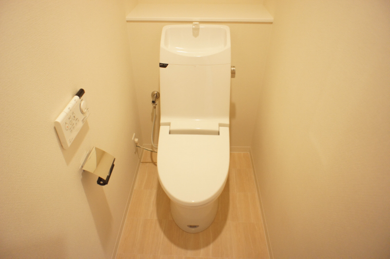 Toilet. Bidet with toilet