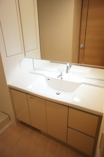 Washroom. Shampoo dresser