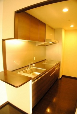 Kitchen. 3-neck IH system K