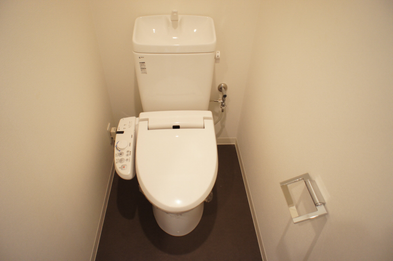 Toilet. Washlet toilet