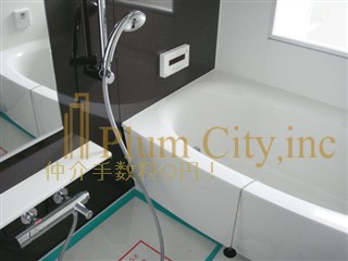 Bath. bath