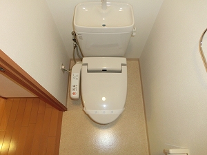 Toilet. Bidet with toilet ☆