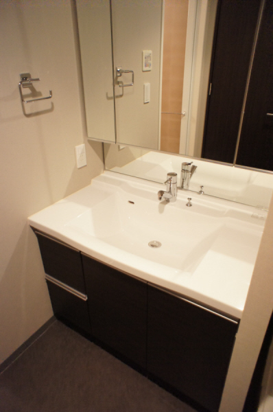 Washroom. Shampoo dresser