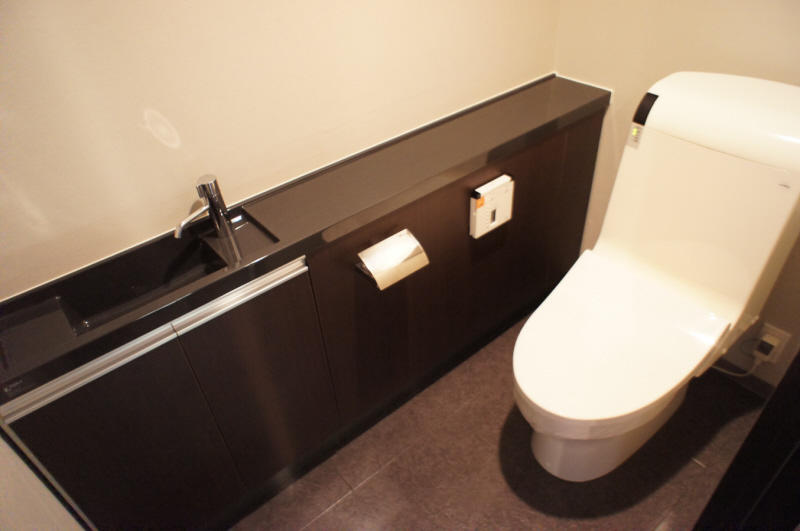 Toilet. Washlet toilet (with hand washing)