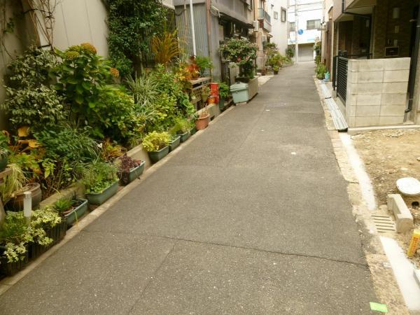 Local photos, including front road