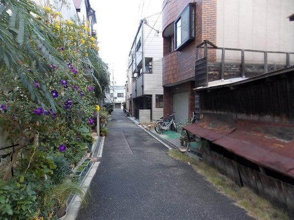 Other local. Living environment is good and easy to live