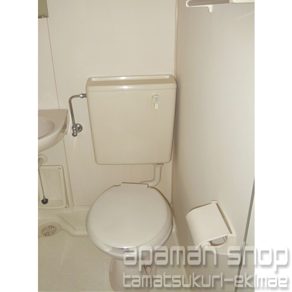 Toilet. Toilet