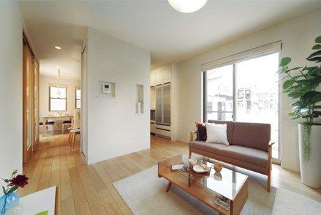 Same specifications photos (living). Example of construction