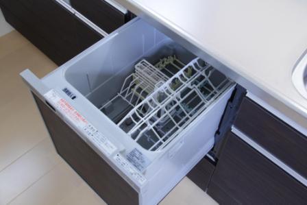 Kitchen. System kitchen Dishwasher