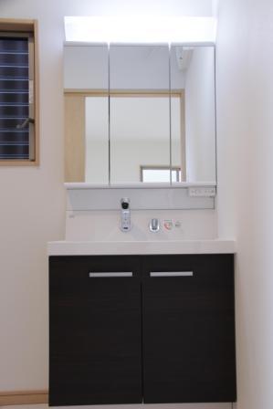 Wash basin, toilet. Bathroom vanity