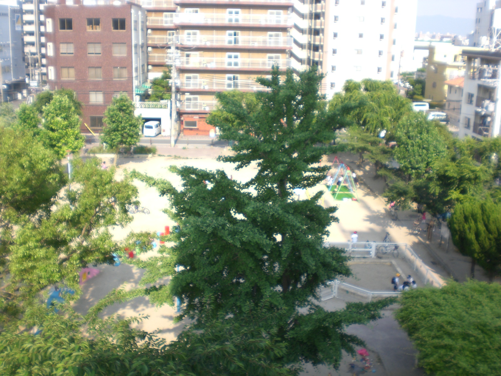 View