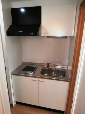 Kitchen. System kitchen / IH cooking heater
