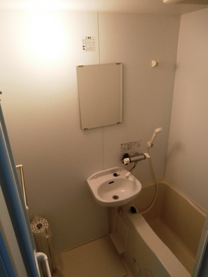 Bath. bathroom / Wash basin