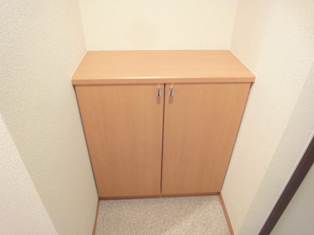 Other Equipment. Shoe box
