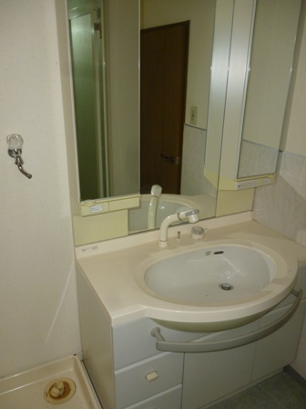 Washroom. Shampoo dresser