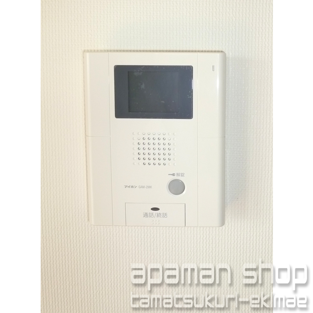 Security. Monitor Hong