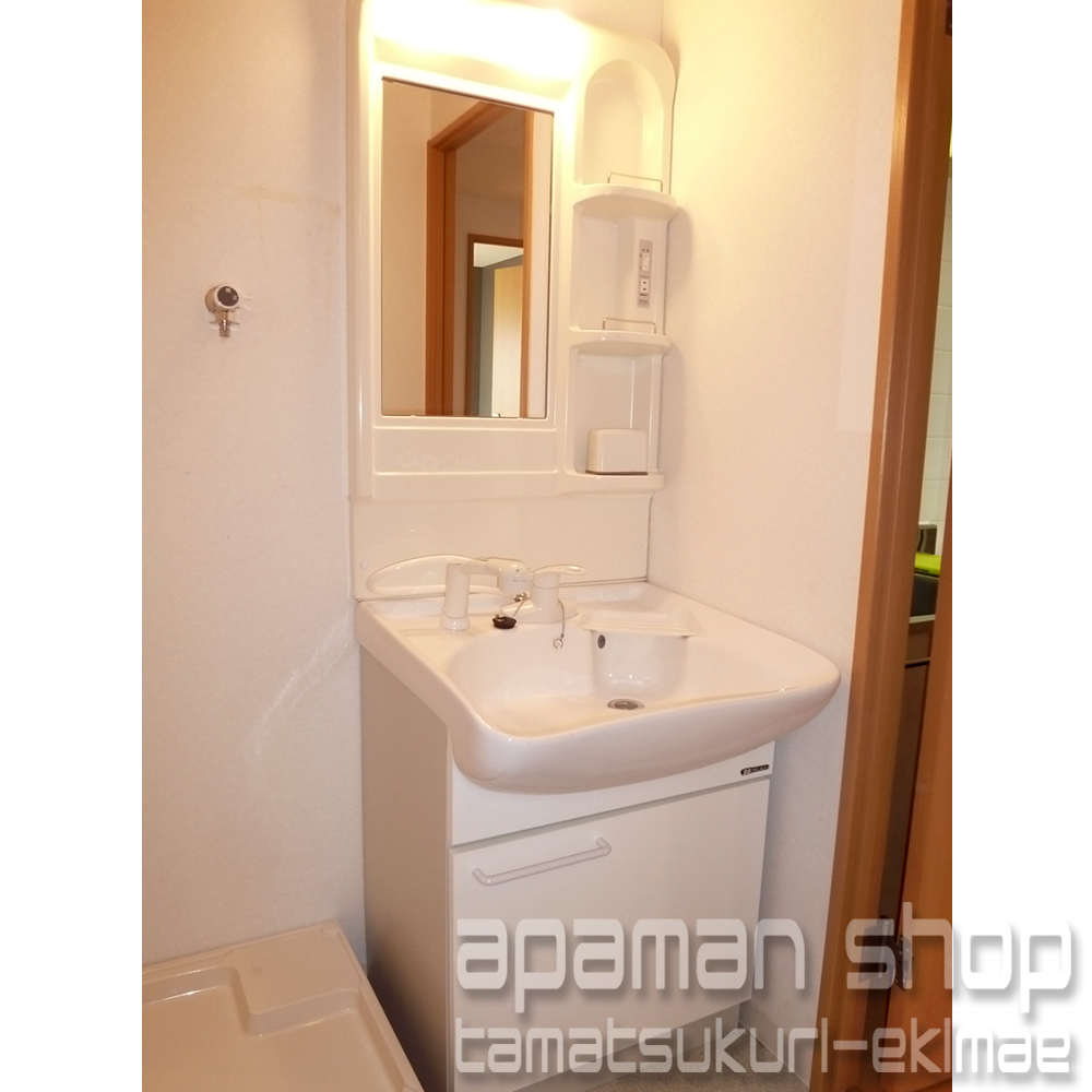 Washroom. Shampoo dresser