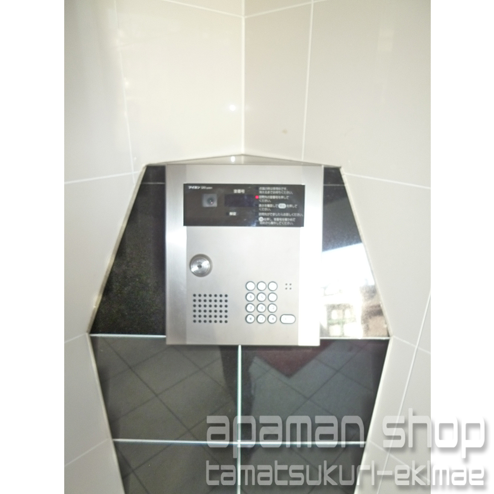 Security. Auto-lock panel