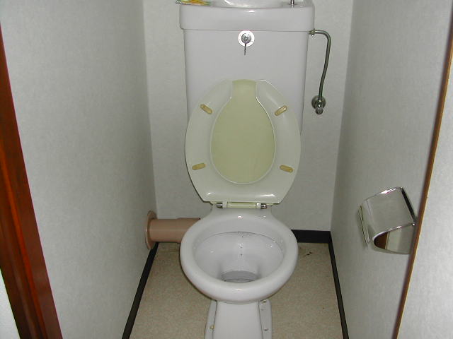 Toilet. It is beautiful. 