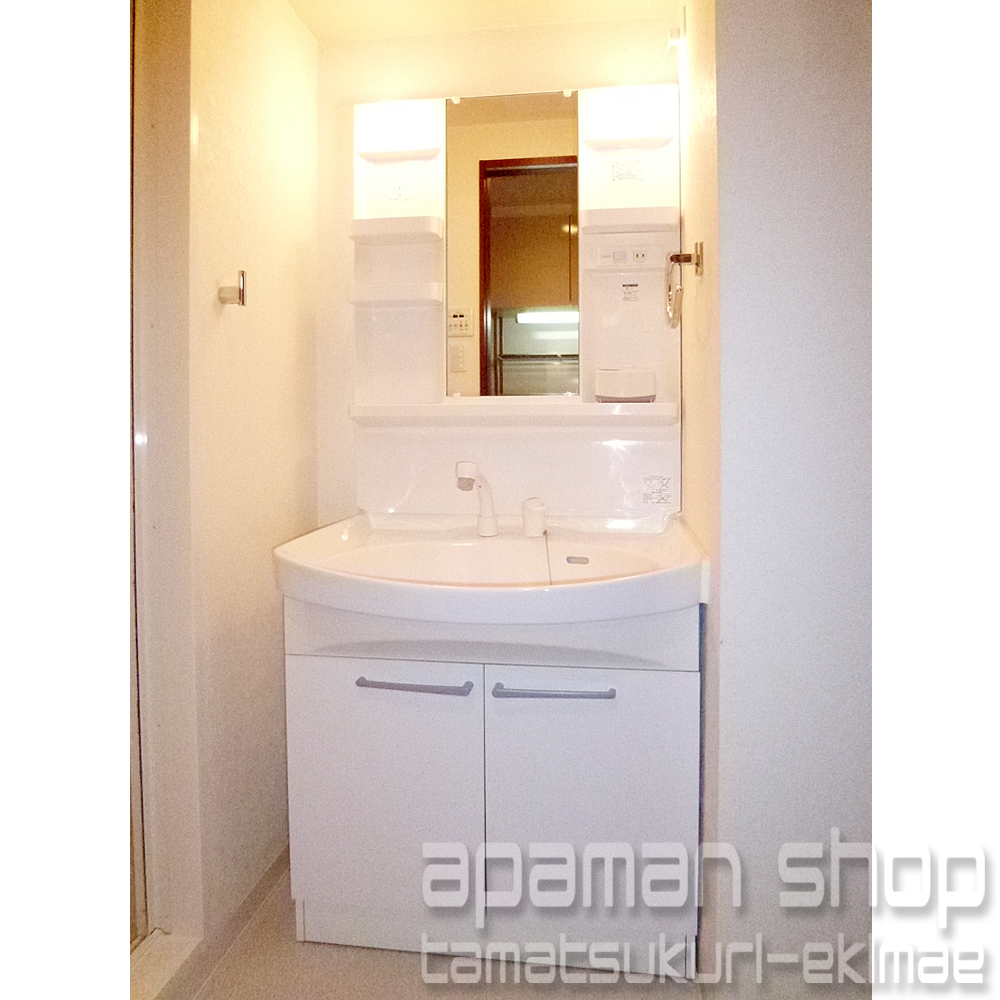 Washroom. Bathroom vanity
