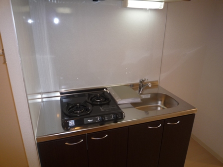 Kitchen. Gas two-burner stove with a kitchen