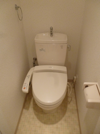 Toilet. Bidet