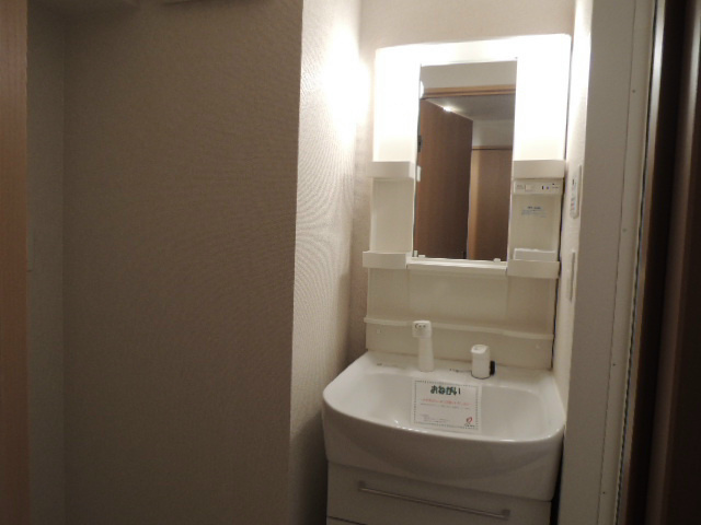 Washroom. Shampoo dresser