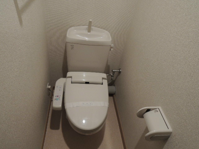 Toilet. Bidet