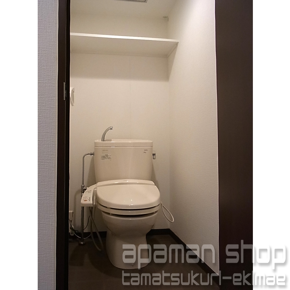 Toilet. Toilet