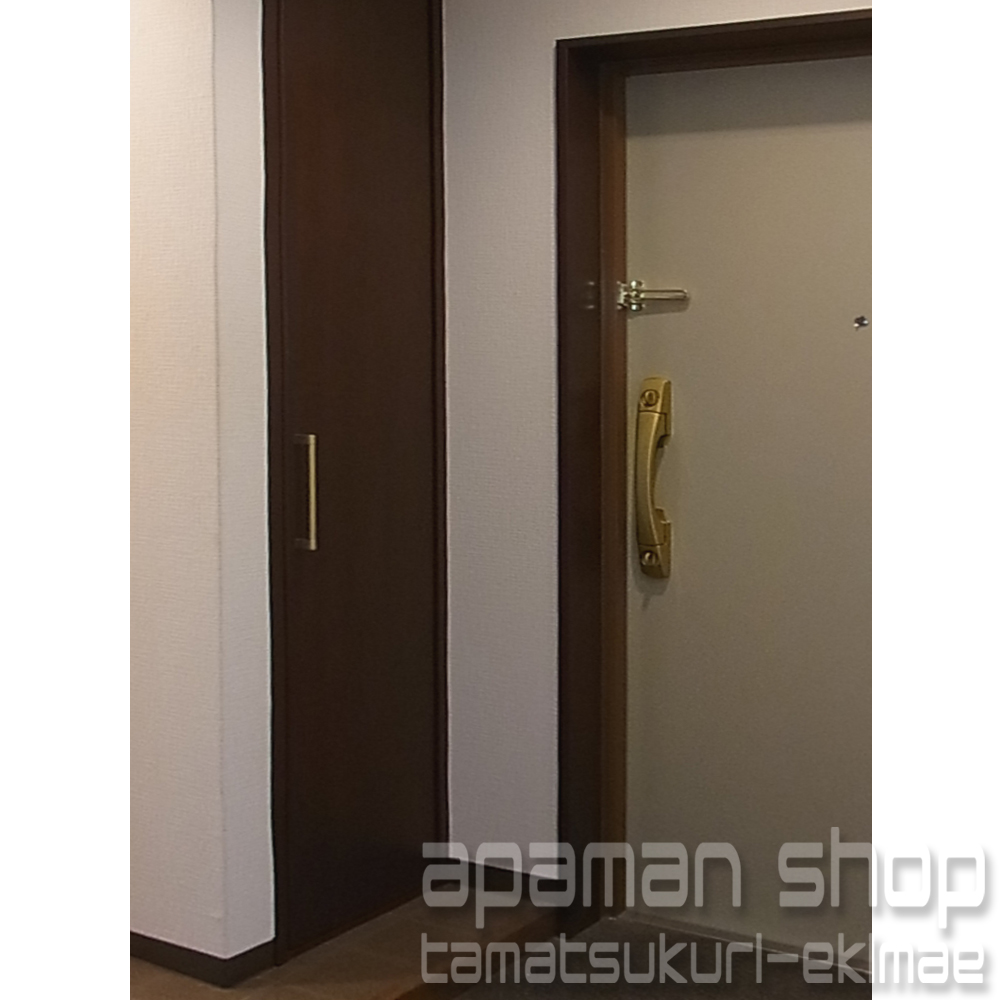 Entrance. Shoes BOX