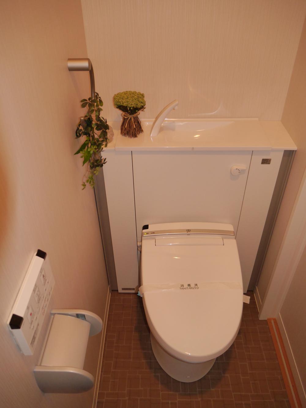 Toilet. First floor toilet