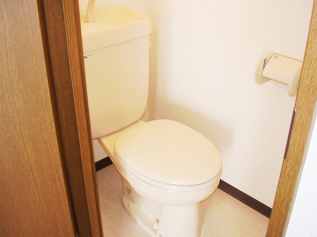 Toilet. It is beautiful.