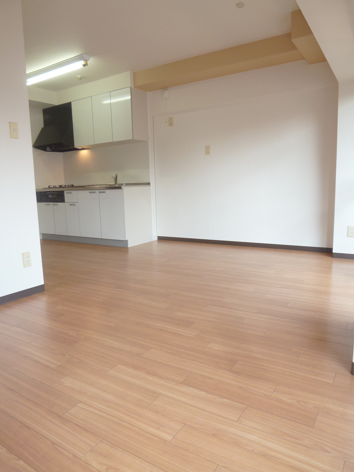 Living and room. LDK