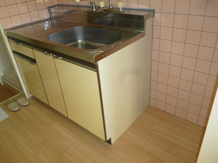 Kitchen. Gas stove installation Allowed