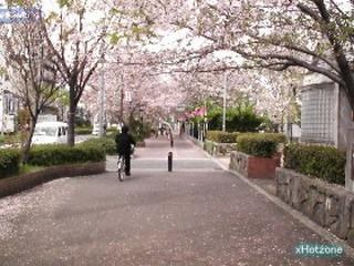 Local guide map. San Jose park