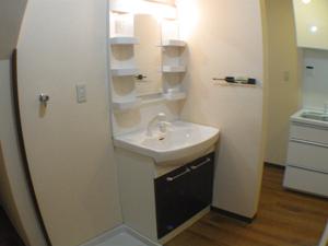 Wash basin, toilet. Separate vanity shower handle mixed water plug type