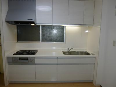 Kitchen. Indoor (10 May 2013) Shooting