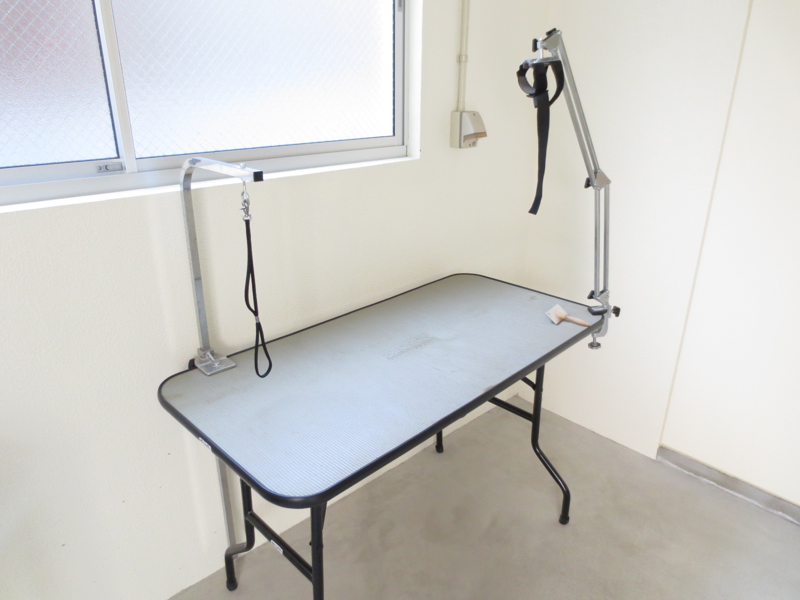 Other common areas. Grooming table