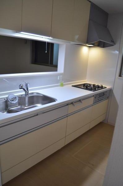 Kitchen. Indoor (11 May 2013) Shooting