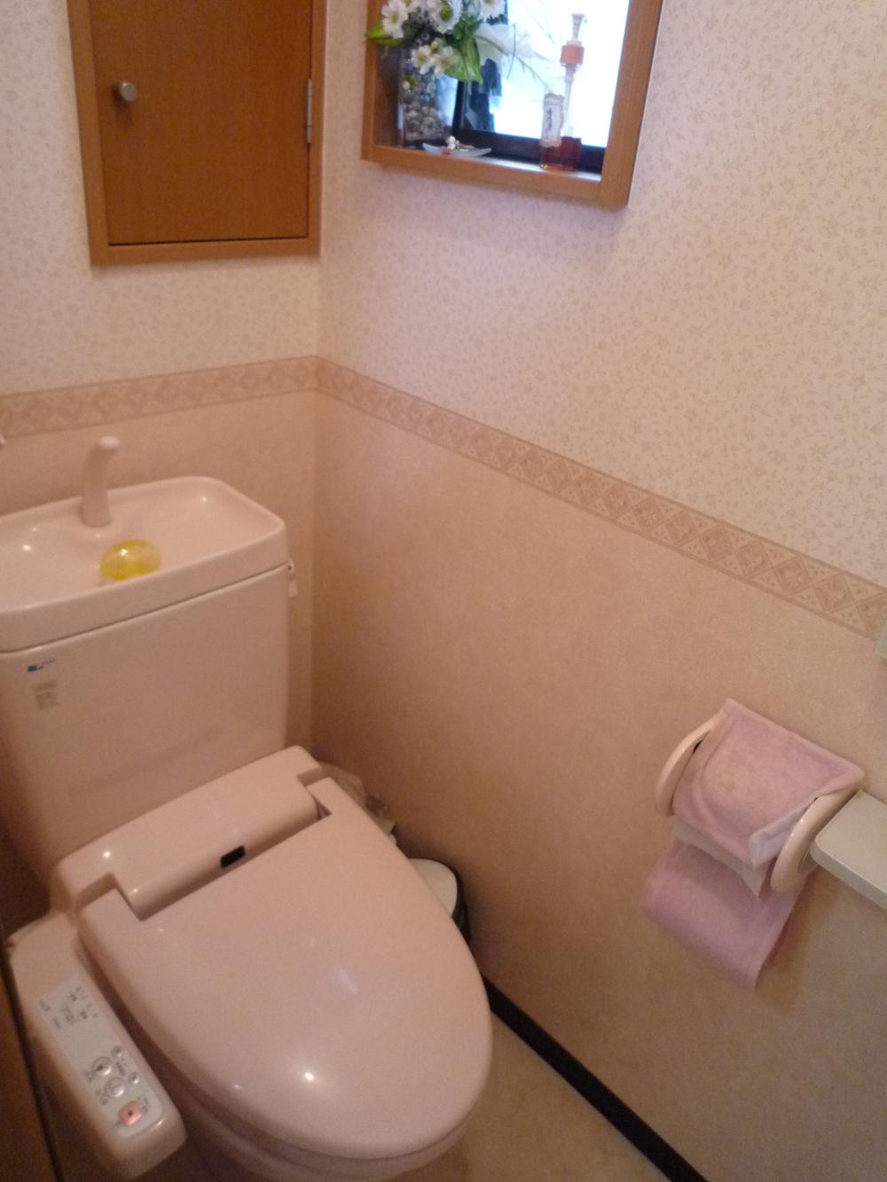 Toilet. Local (September 2013) Shooting