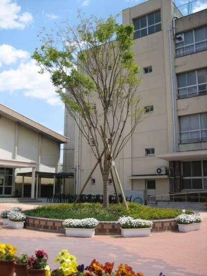 Primary school. Yusato until elementary school 470m