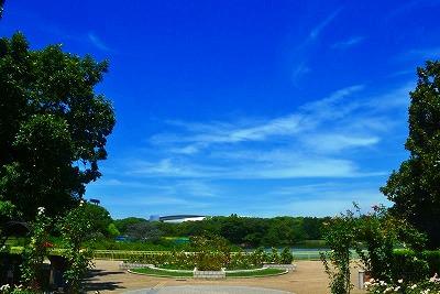 park. 800m to the park