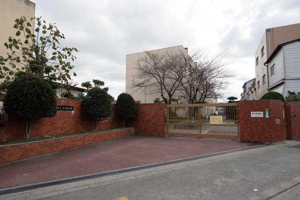 Primary school. Daiquiri to elementary school 560m