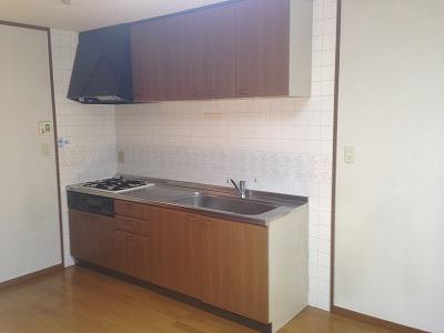 Kitchen. Indoor (11 May 2013) Shooting